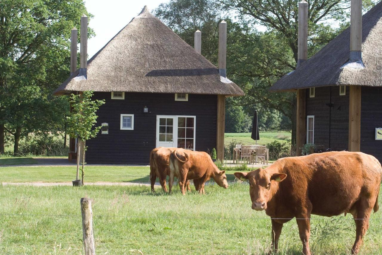 Erve Woolderink Villa Wierden Bagian luar foto